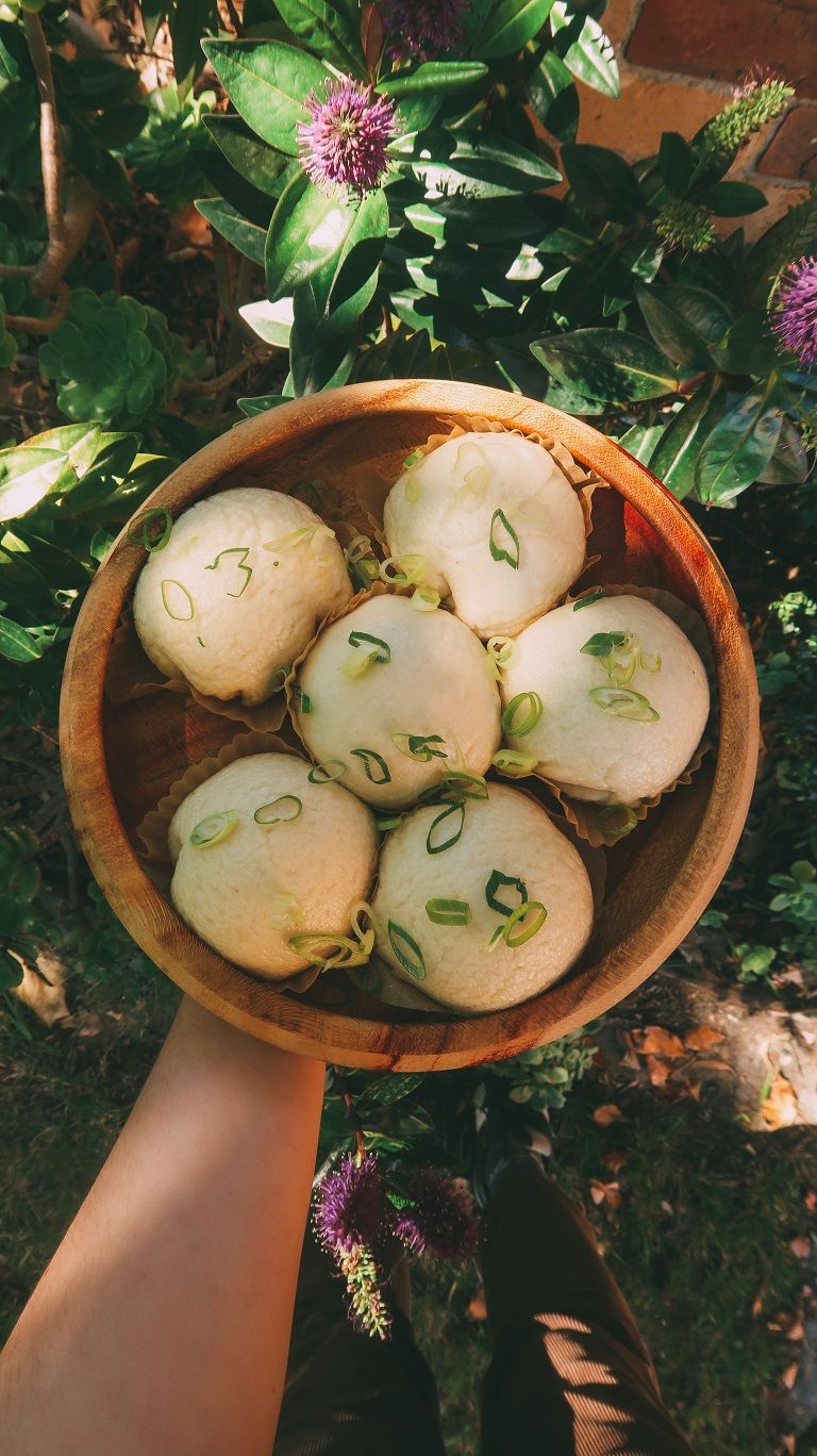 veggie-tofu-steamed-buns